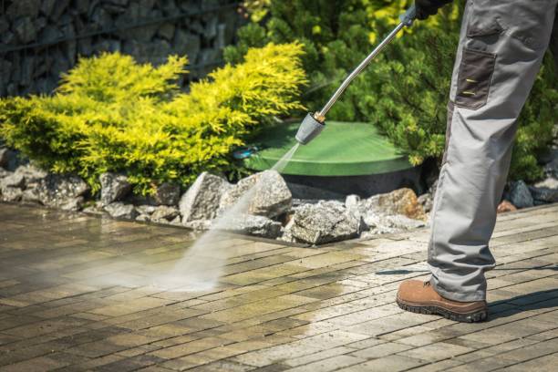 Best Brick and Stone Cleaning in Grand Meadow, MN