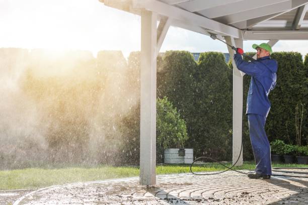 Best Concrete Surface Cleaning in Grand Meadow, MN