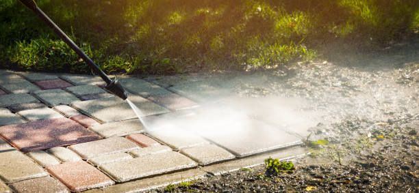 Best Window and Screen Pressure Cleaning in Grand Meadow, MN